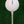 White Straight Tees – 40 x 83mm 3 ¼ inch White Premium Bamboo Golf Tees in a Biodegradable Bag with Free Ball Marker & Free Pencil. Twice the strength of regular bamboo very strong & durable & a Great Golf Gift.