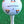 White Castle Tees – 40 x 51mm 2 inch White Premium Bamboo Golf Tees in a Tin